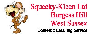Squeeky-Kleen Ltd